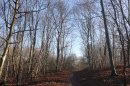 Les Beaux Monts